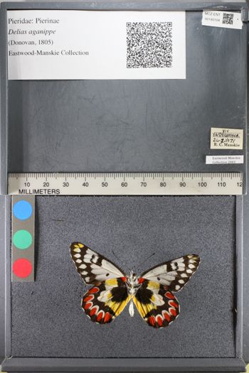 Media type: image;   Entomology 140104